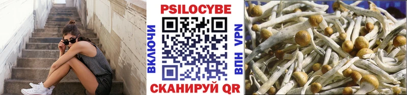 хочу Кущёвская Галлюциногенные грибы ЛСД